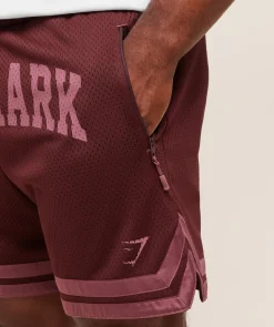 Campus Mesh Shorts