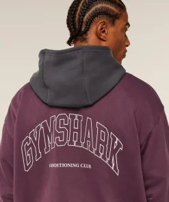Collegiate Tech Hoodie