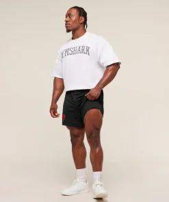 Lifting Barbell Mesh 5