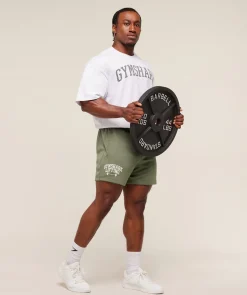 Lifting Barbell Mesh 5