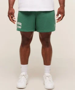 Lifting Mesh 5" Shorts