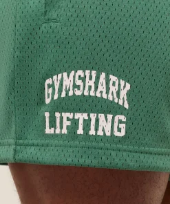 Lifting Mesh 5