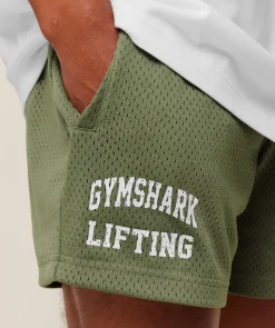 Lifting Mesh 5