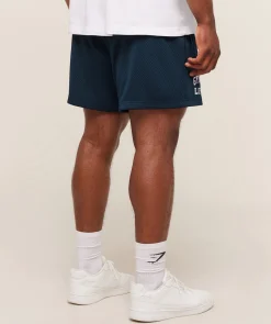 Lifting Mesh 5" Shorts