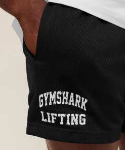 Lifting Mesh 5