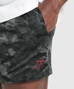 Lifting Mesh 5
