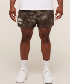 Lifting Mesh 5" Shorts