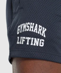 Lifting Mesh 5
