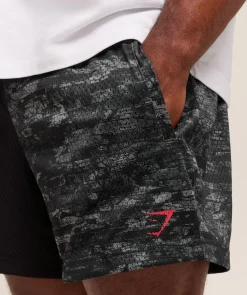Lifting Mesh 5